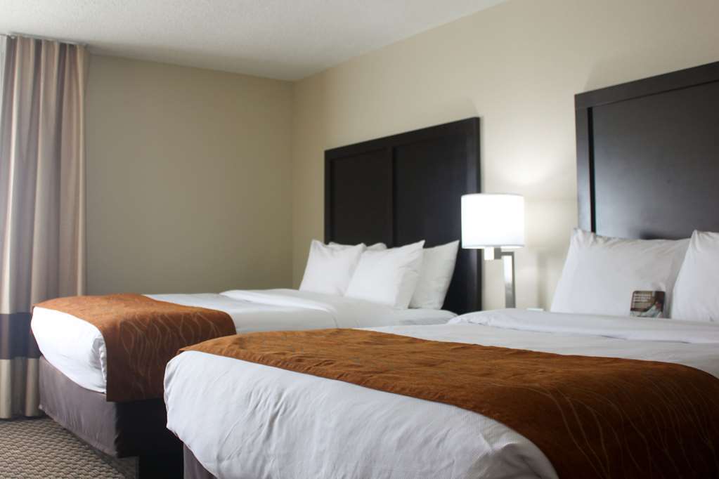 Comfort Inn Matteson - Chicago Room photo